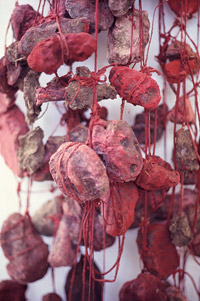 Sheela Gowda, Gallant Hearts, 1996 (detail)