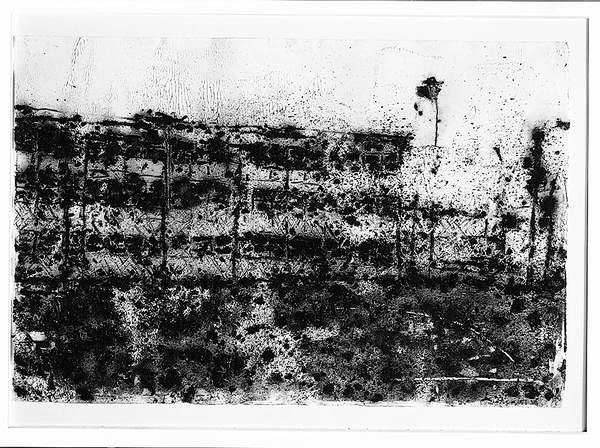 Philippe Cogne, Sans titre, 1997-1998