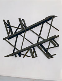 Bertrand Lavier, Photo-relief n°1, 1989